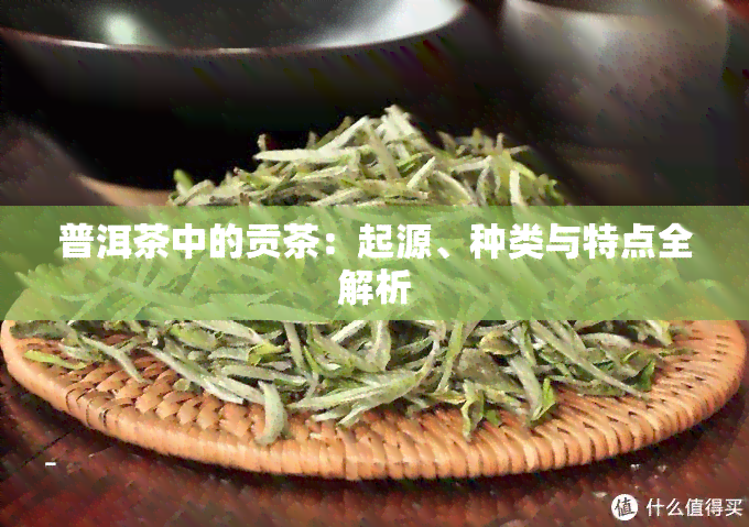 普洱茶中的贡茶：起源、种类与特点全解析