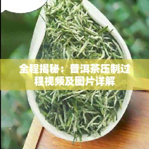 全程揭秘：普洱茶压制过程视频及图片详解