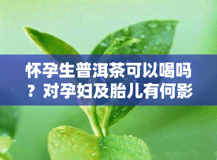 怀孕生普洱茶可以喝吗？对孕妇及胎儿有何影响？