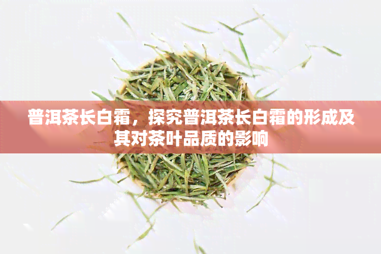 普洱茶长白霜，探究普洱茶长白霜的形成及其对茶叶品质的影响