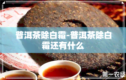 普洱茶除白霜-普洱茶除白霜还有什么