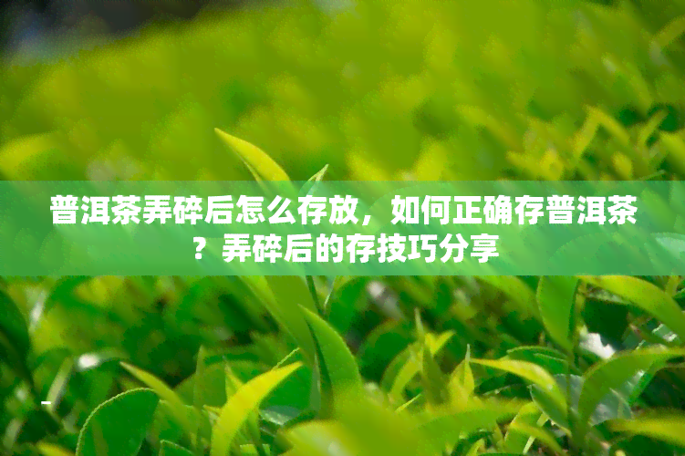 普洱茶弄碎后怎么存放，如何正确存普洱茶？弄碎后的存技巧分享