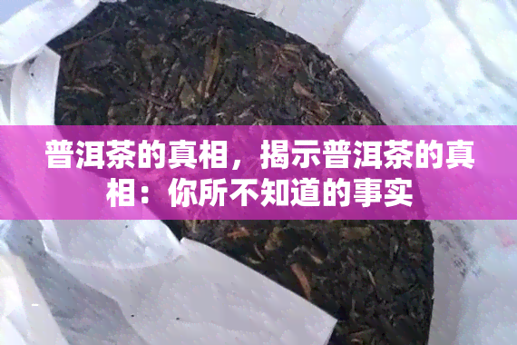 普洱茶的真相，揭示普洱茶的真相：你所不知道的事实