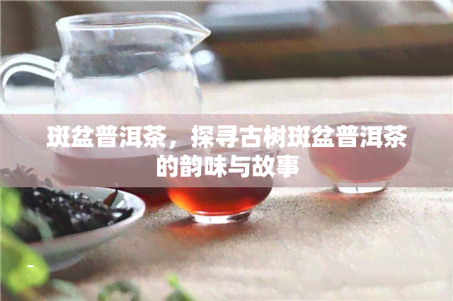 斑盆普洱茶，探寻古树斑盆普洱茶的韵味与故事