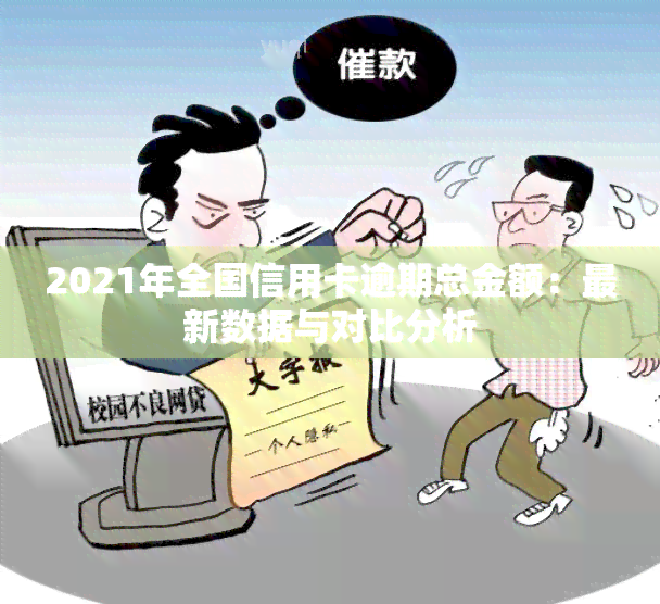 2021年全国信用卡逾期总金额：最新数据与对比分析