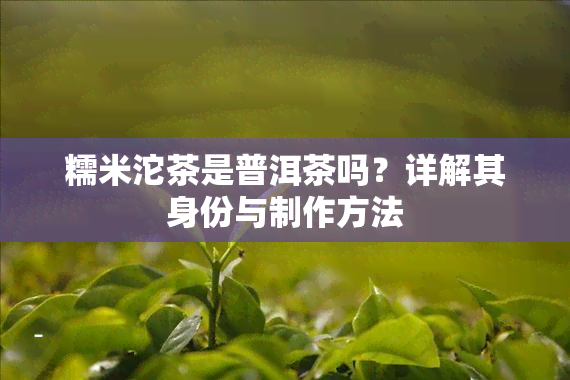 糯米沱茶是普洱茶吗？详解其身份与制作方法