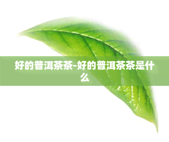 好的普洱茶茶-好的普洱茶茶是什么