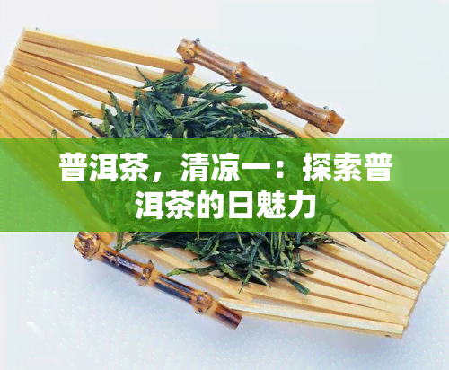 普洱茶，清凉一：探索普洱茶的日魅力