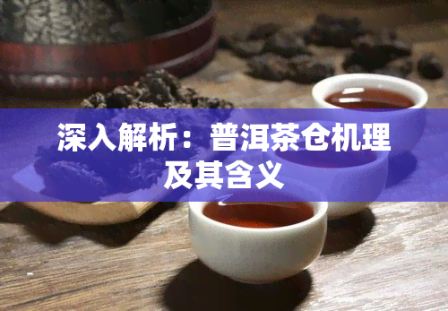 深入解析：普洱茶仓机理及其含义