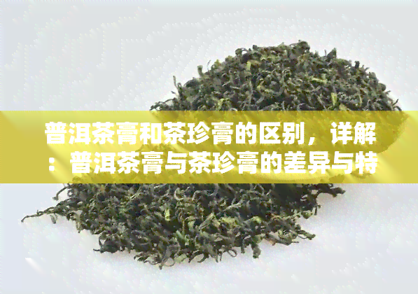 普洱茶膏和茶珍膏的区别，详解：普洱茶膏与茶珍膏的差异与特点