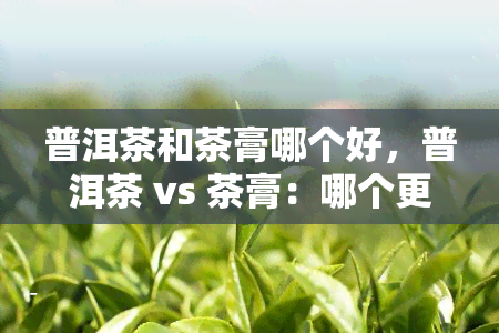 普洱茶和茶膏哪个好，普洱茶 vs 茶膏：哪个更好？