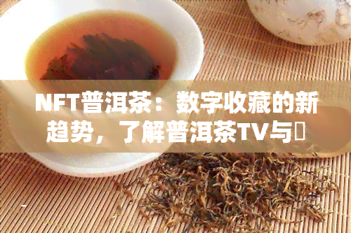 NFT普洱茶：数字收藏的新趋势，了解普洱茶TV与槚普洱茶的区别