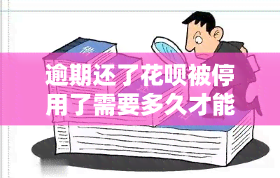 逾期还了花呗被停用了需要多久才能重新用花呗，如何恢复因逾期还款而被停用的花呗？