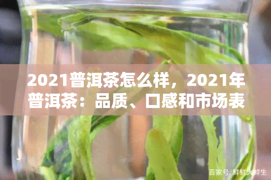 2021普洱茶怎么样，2021年普洱茶：品质、口感和市场表现如何？