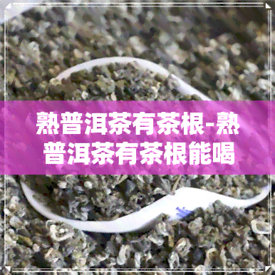 熟普洱茶有茶根-熟普洱茶有茶根能喝吗