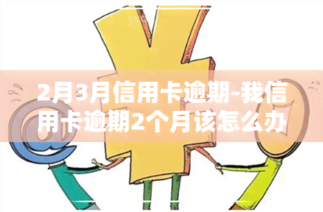 2月3月信用卡逾期-我信用卡逾期2个月该怎么办