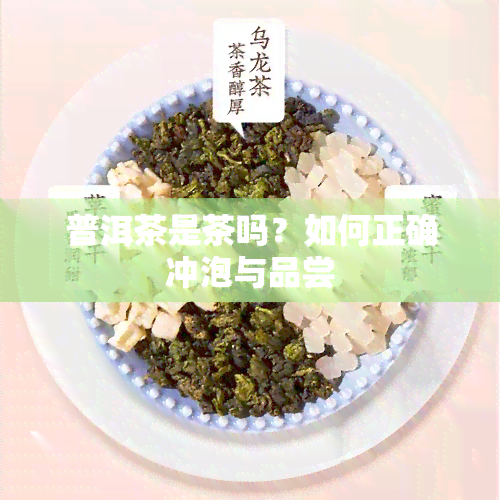 普洱茶是茶吗？如何正确冲泡与品尝