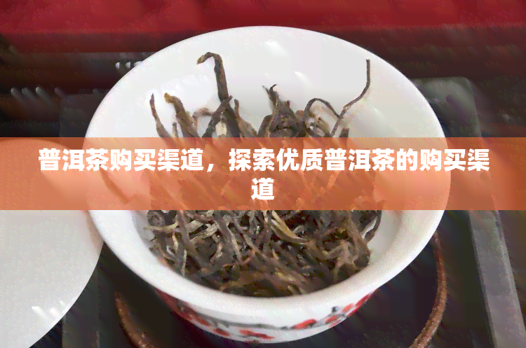 普洱茶购买渠道，探索优质普洱茶的购买渠道