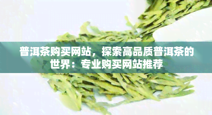 普洱茶购买网站，探索高品质普洱茶的世界：专业购买网站推荐