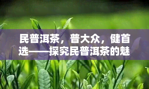 民普洱茶，普大众，健首选——探究民普洱茶的魅力