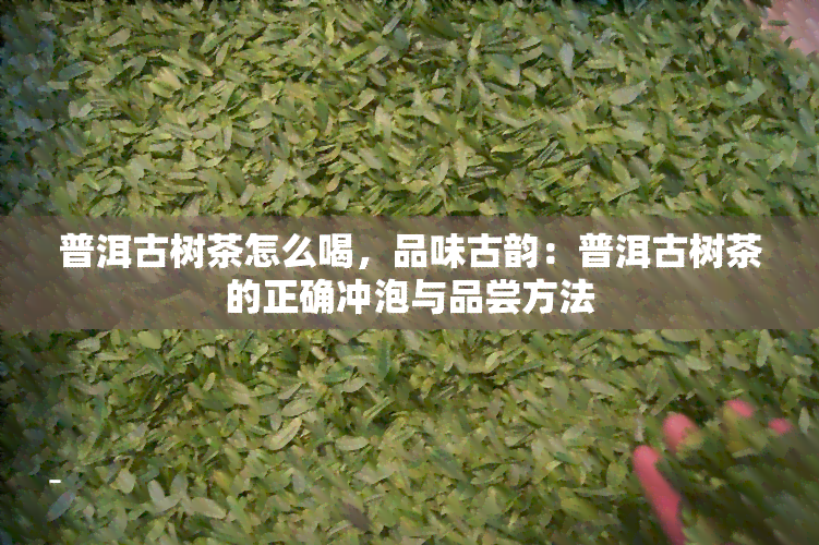 普洱古树茶怎么喝，品味古韵：普洱古树茶的正确冲泡与品尝方法