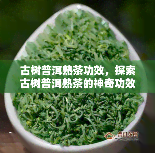 古树普洱熟茶功效，探索古树普洱熟茶的神奇功效