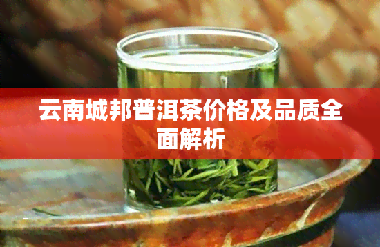 云南城邦普洱茶价格及品质全面解析