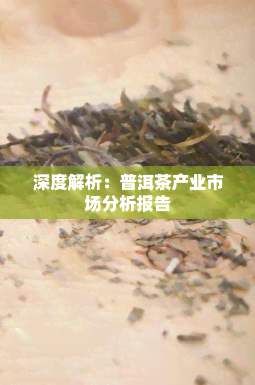 深度解析：普洱茶产业市场分析报告