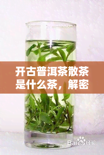 开古普洱茶散茶是什么茶，解密古普洱茶散茶：它究竟是什么茶？