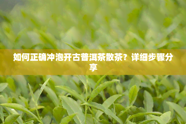 如何正确冲泡开古普洱茶散茶？详细步骤分享