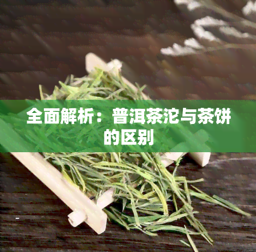 全面解析：普洱茶沱与茶饼的区别