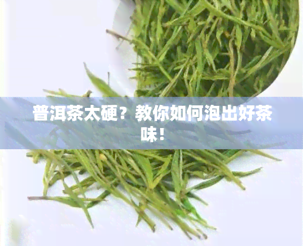 普洱茶太硬？教你如何泡出好茶味！