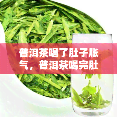 普洱茶喝了肚子胀气，普洱茶喝完肚子胀气？可能是因为你忽略了这些泡茶细节！