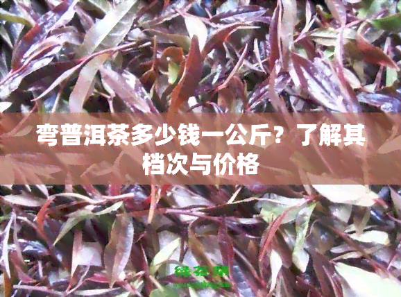 弯普洱茶多少钱一公斤？了解其档次与价格