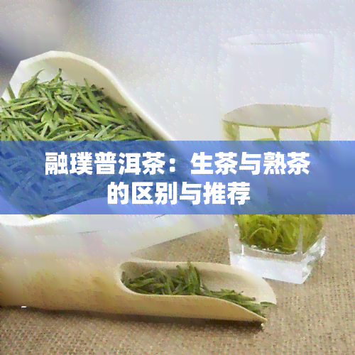 融璞普洱茶：生茶与熟茶的区别与推荐