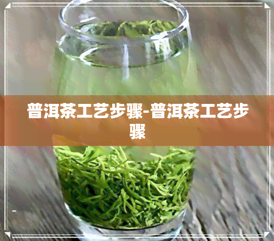 普洱茶工艺步骤-普洱茶工艺步骤