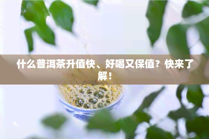 什么普洱茶升值快、好喝又保值？快来了解！