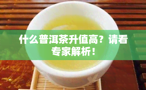 什么普洱茶升值高？请看专家解析！