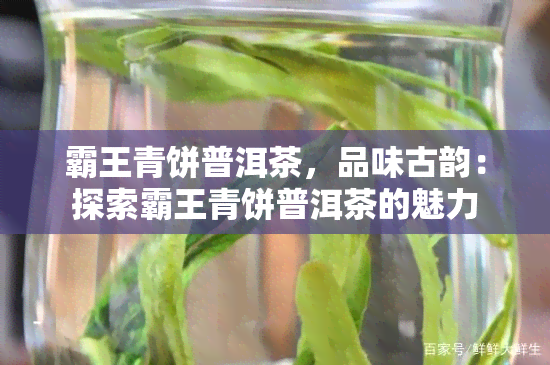 霸王青饼普洱茶，品味古韵：探索霸王青饼普洱茶的魅力