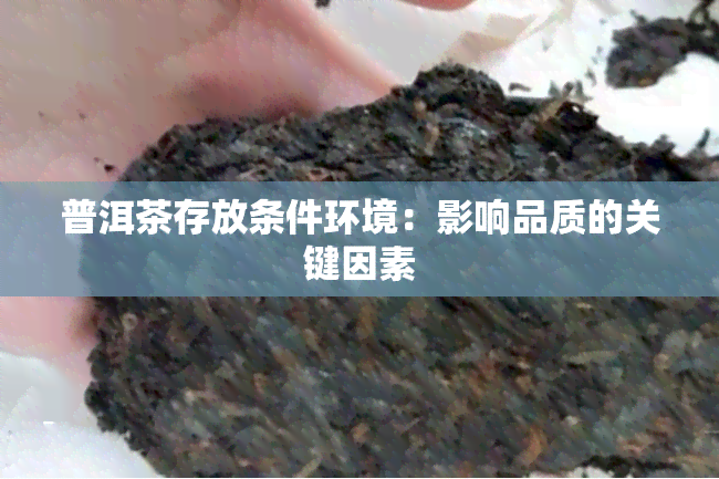 普洱茶存放条件环境：影响品质的关键因素