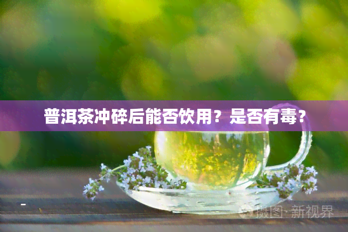 普洱茶冲碎后能否饮用？是否有？