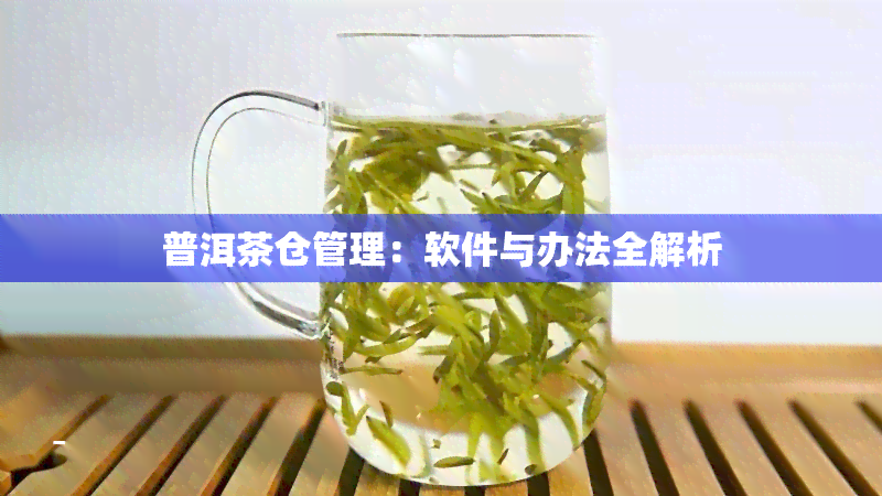 普洱茶仓管理：软件与办法全解析