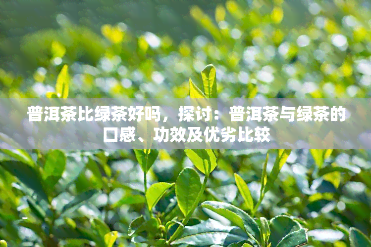 普洱茶比绿茶好吗，探讨：普洱茶与绿茶的口感、功效及优劣比较