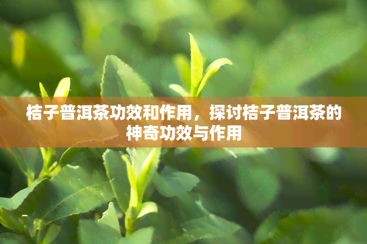 桔子普洱茶功效和作用，探讨桔子普洱茶的神奇功效与作用