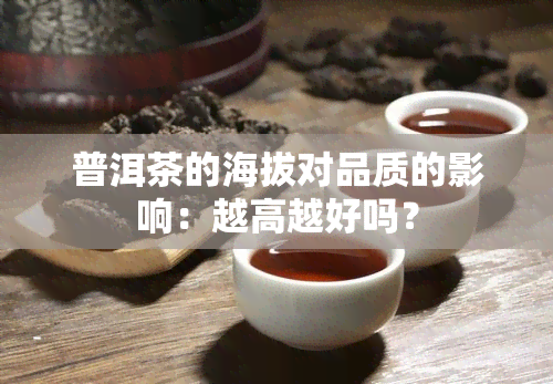 普洱茶的海拔对品质的影响：越高越好吗？