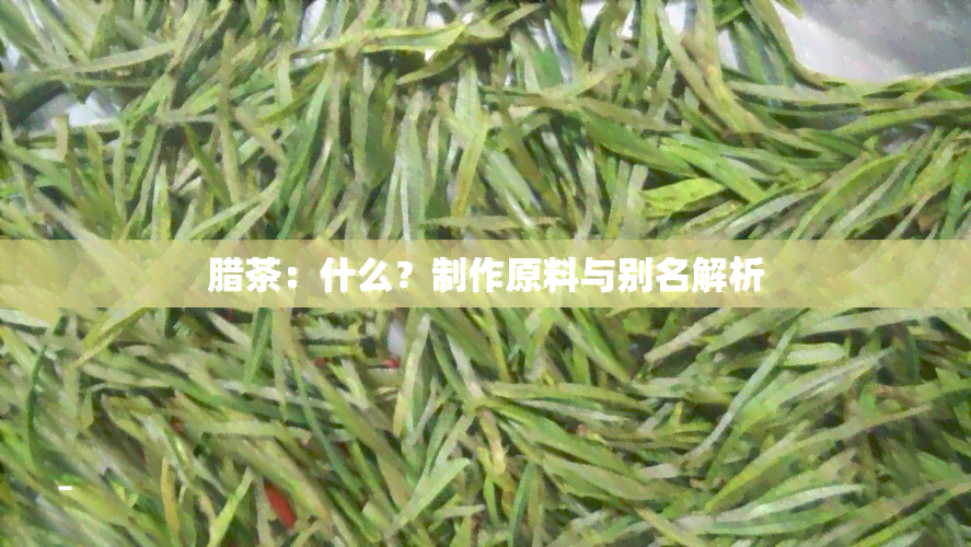 腊茶：什么？制作原料与别名解析