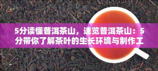 5分读懂普洱茶山，速览普洱茶山：5分带你了解茶叶的生长环境与制作工艺