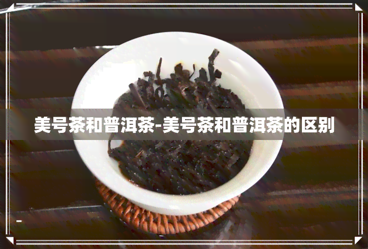 美号茶和普洱茶-美号茶和普洱茶的区别