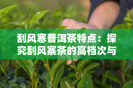 刮风寒普洱茶特点：探究刮风寨茶的高档次与独特特性