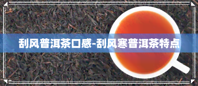 刮风普洱茶口感-刮风寒普洱茶特点